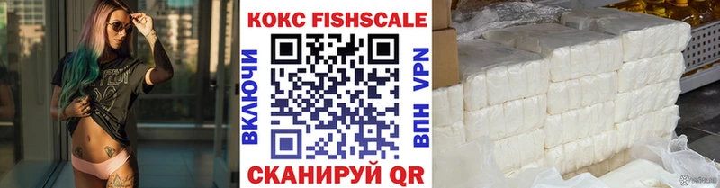 как найти   Палласовка  гидра зеркало  КОКАИН Fish Scale 