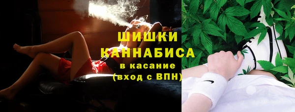 амф Бронницы