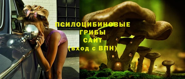 spice Бугульма