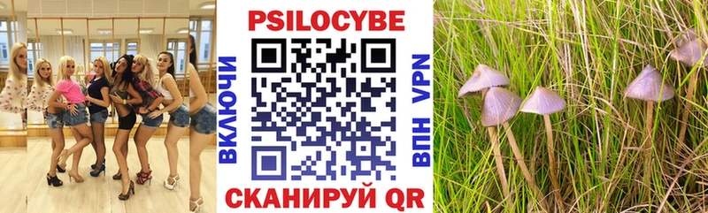 цена Палласовка Галлюциногенные грибы Magic Shrooms